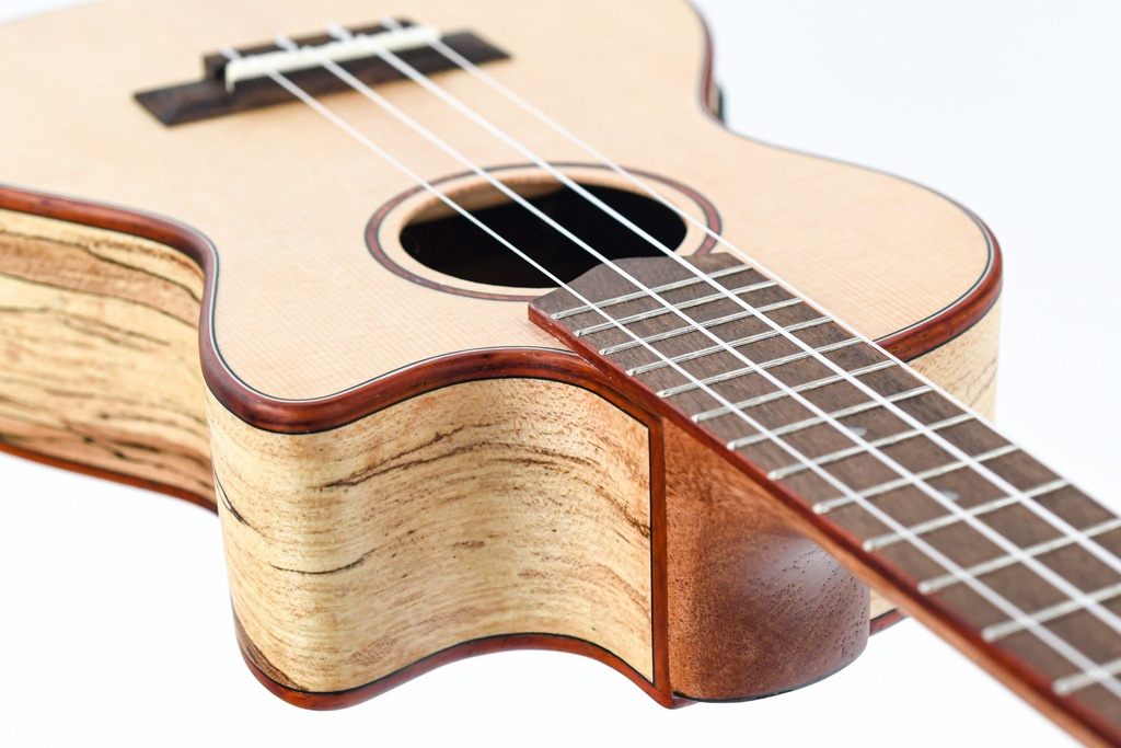 Cordoba 24TCE Tenor Spalted Maple Spruce Ukulele | The Fellowship